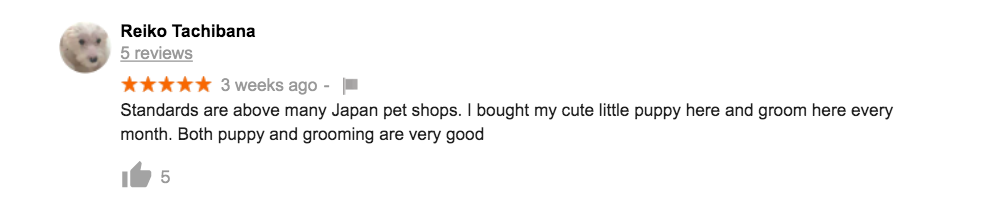 The Lovely Pets Satisfied Customer Review of puppies singapore