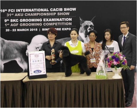 Professional Groomer with best qualification in Singapore