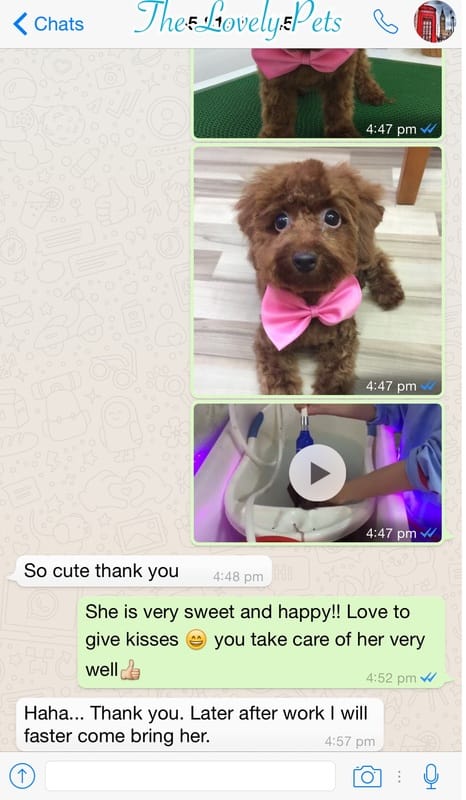 The Lovely Pets Satisfied Customer Review