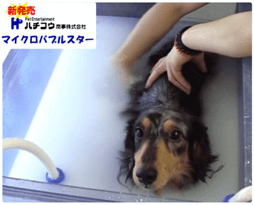 advanced microbubble spa for grooming dogs and cats