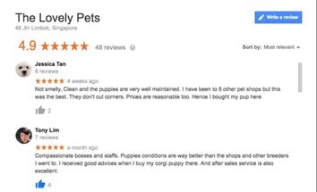 High ranking, best reviewed and happy customer review for The Lovely Pets puppy singapore