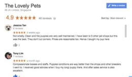 Top reviewed puppy shop in singapore