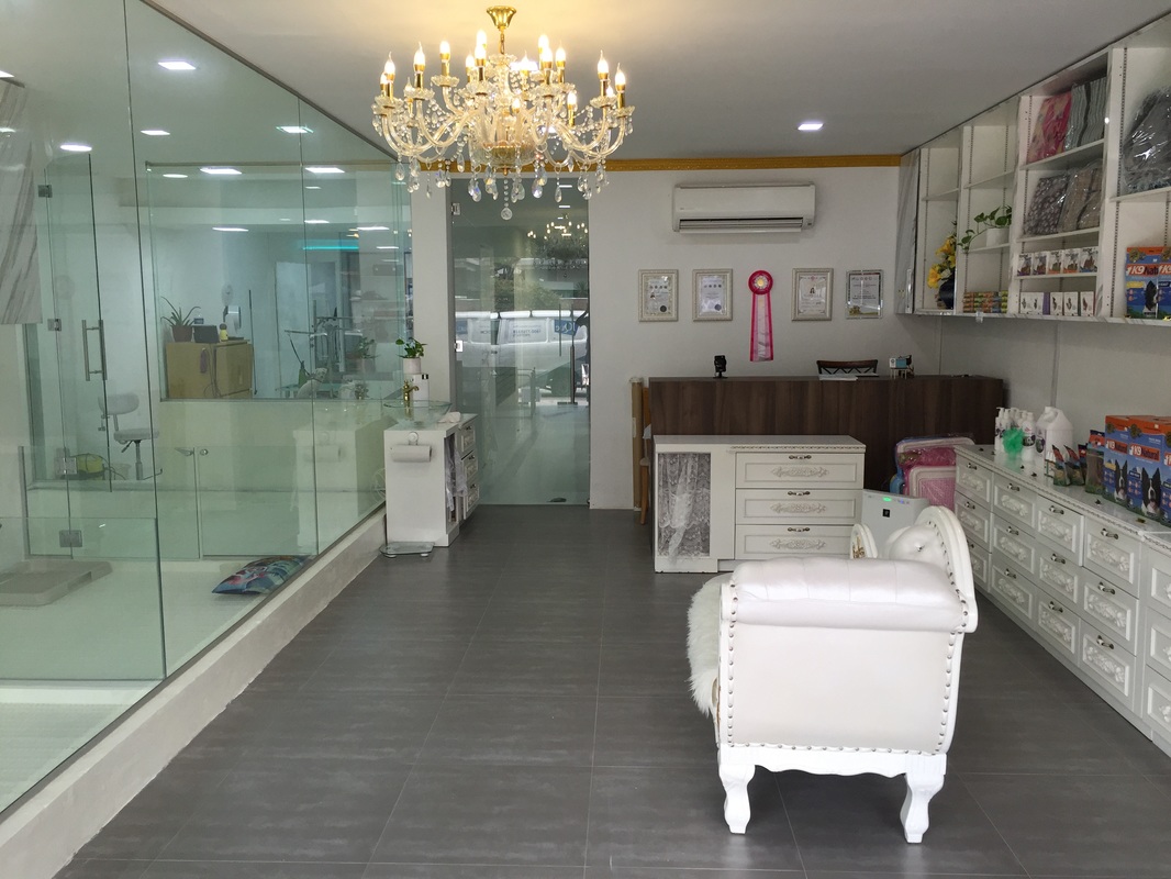 awesomed dog grooming salon in singapore for puppies dogs and cats
