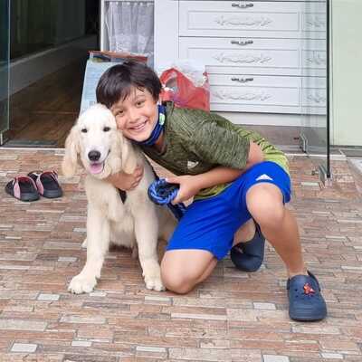 Happy Boy with his new golden retriever puppy singapore