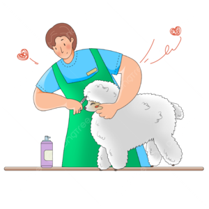 Groomed puppy singapore so you can bring home clean healthy dog