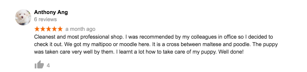 The Lovely Pets Satisfied Customer Review of puppy singapore