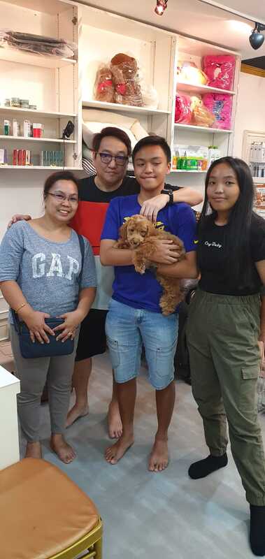 Singapore family with a brand new puppy. Happy moments