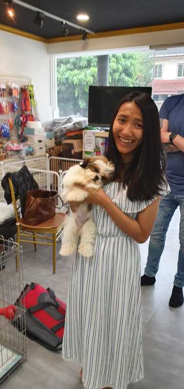 happy lady with shihtzu puppy of singapore