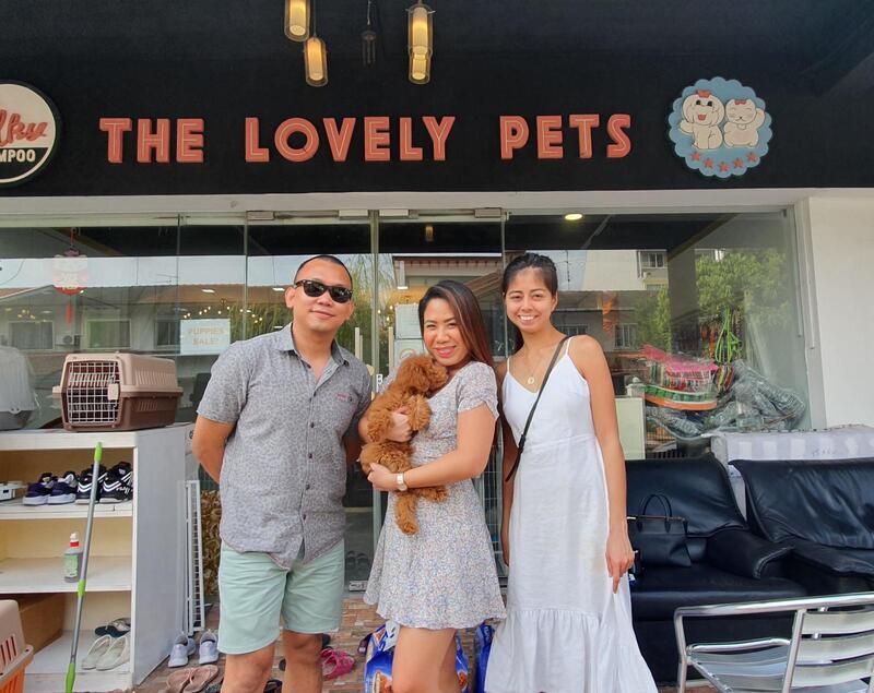 Happy customers of the lovely pets after buy dog puppy in singapore